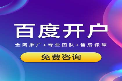 搜索引擎营销（SEM）在移动端的推广案例
